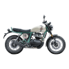 Bear 650 - Two Four Nine
