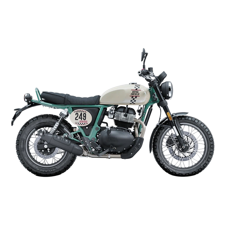 Bear 650 - Two Four Nine