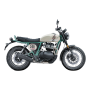 Bear 650 - Two Four Nine